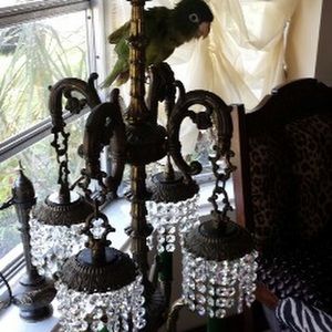 Meet your Posher, Amany